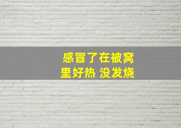 感冒了在被窝里好热 没发烧